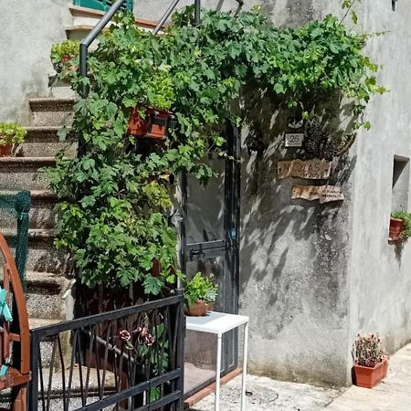 Nicolas House Campiglia d'Orcia Экстерьер фото