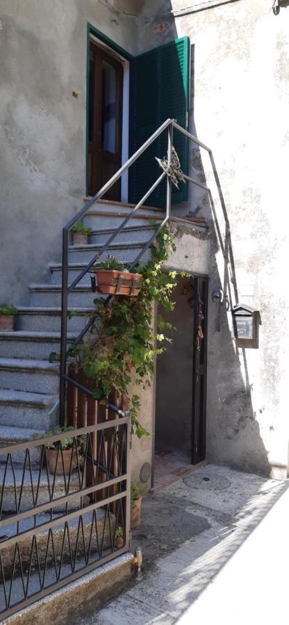Nicolas House Campiglia d'Orcia Экстерьер фото
