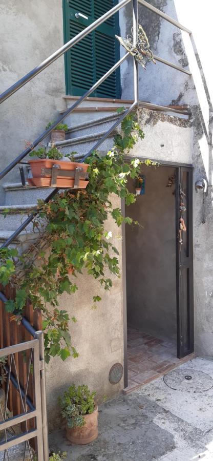 Nicolas House Campiglia d'Orcia Экстерьер фото