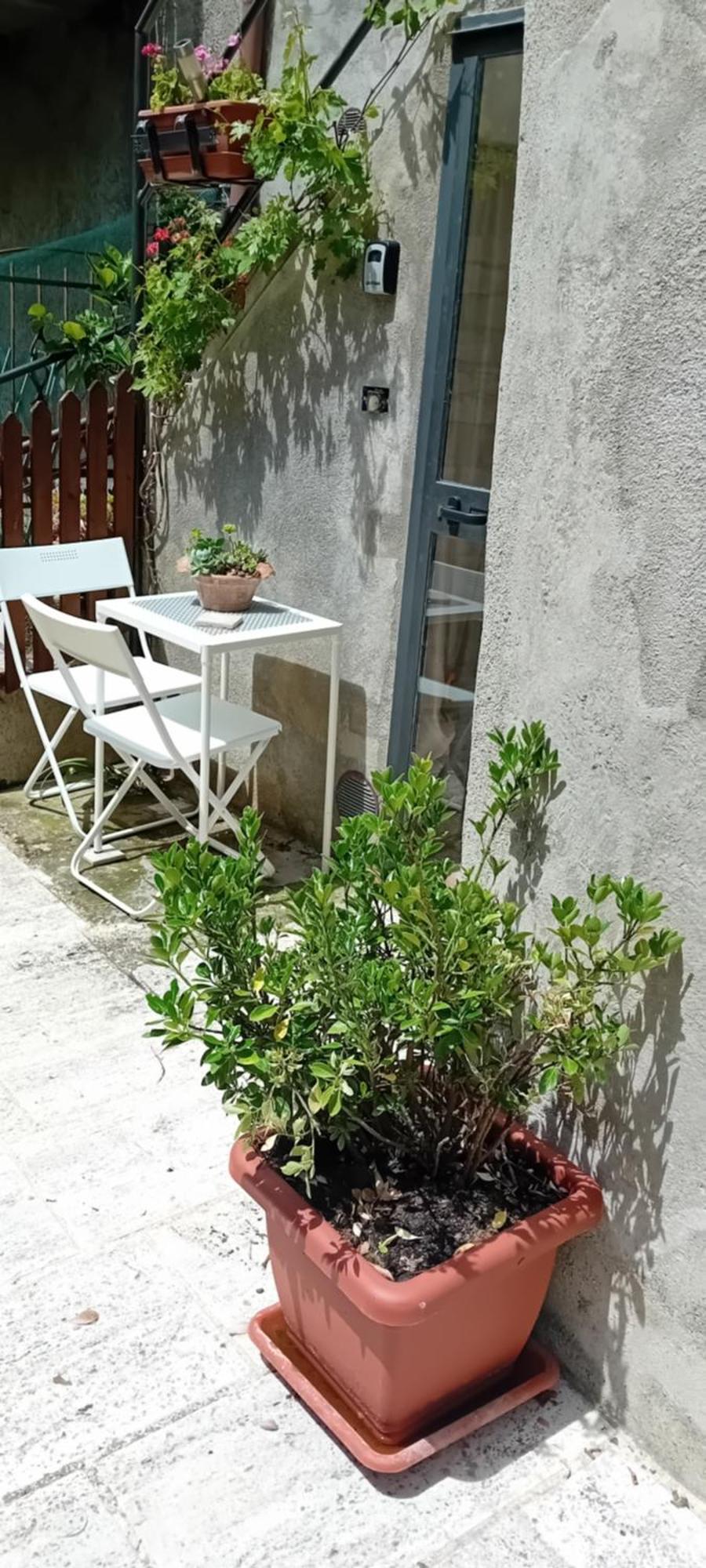 Nicolas House Campiglia d'Orcia Экстерьер фото